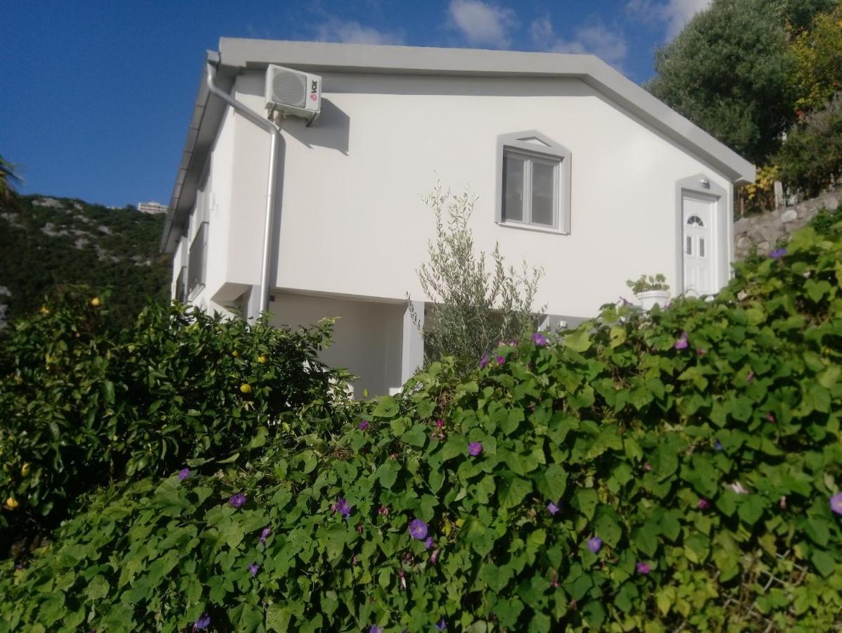 Blue Horizon Apartman Dobra Voda Kültér fotó
